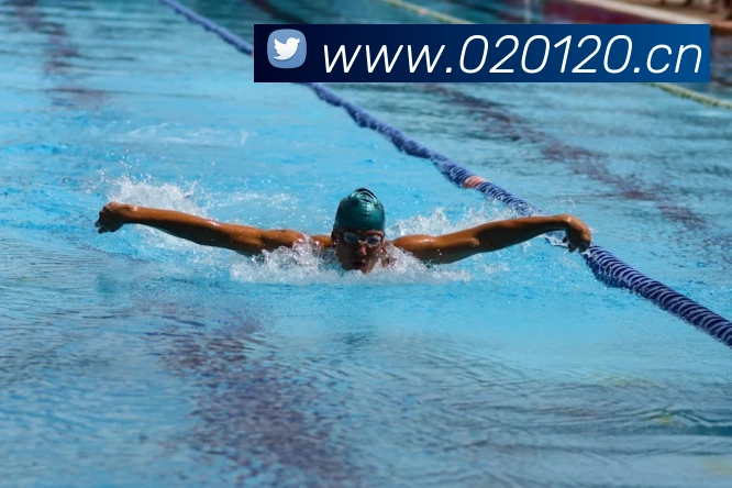 App Interface Preview