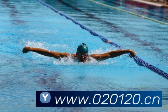 巅峰国标pg官网入口APP 封面图